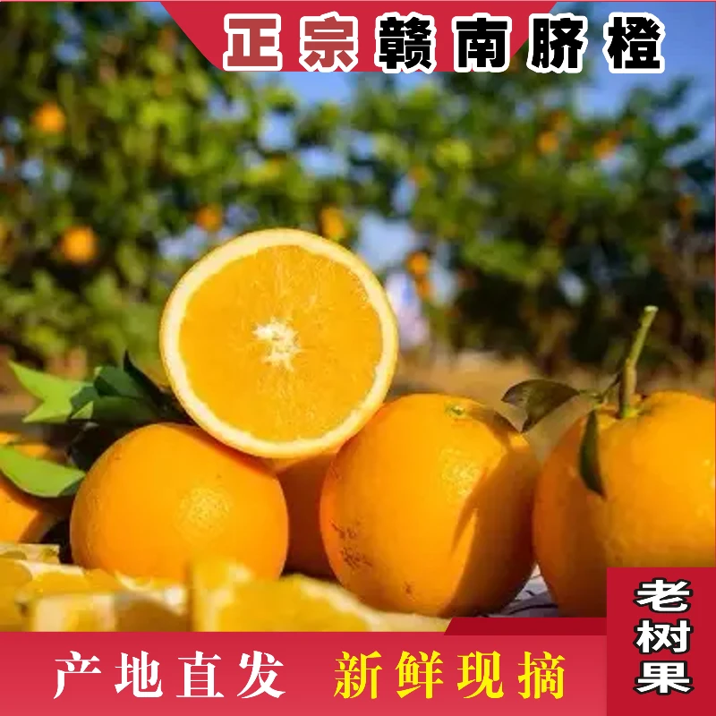 【赣南脐橙】信丰产地直发香甜多汁正宗新鲜当季水果橙子现摘现发