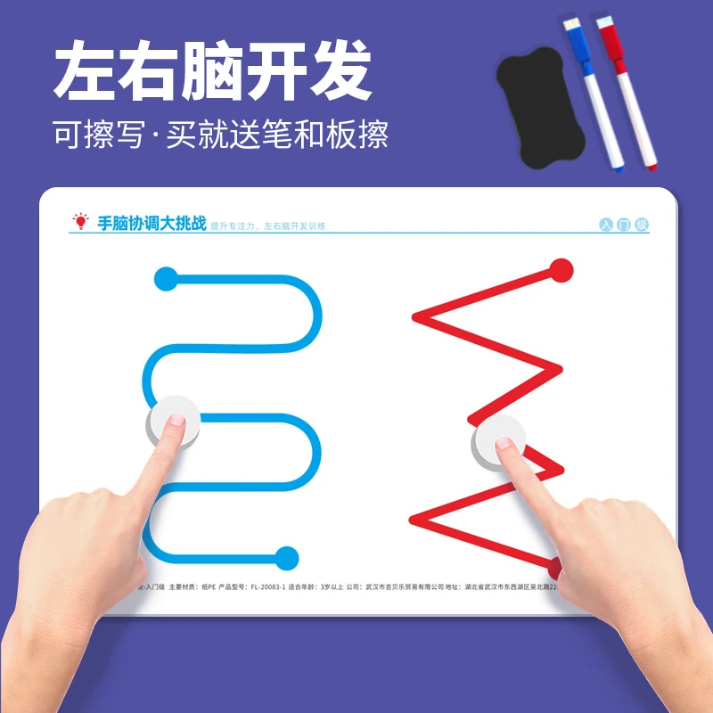 左右脑开发玩具幼儿童全脑思维训练专注力注意力精细动作锻炼教具