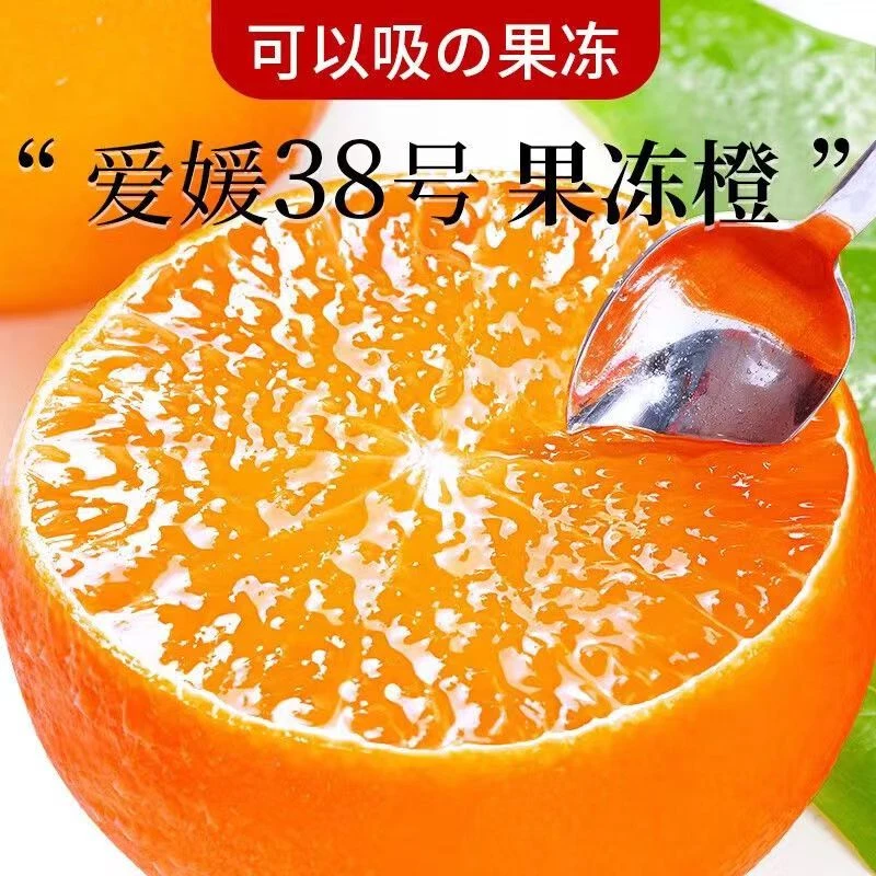 【坏果包赔】正宗四川爱媛38号果冻橙4.5-4.8斤新鲜采摘现摘皮薄