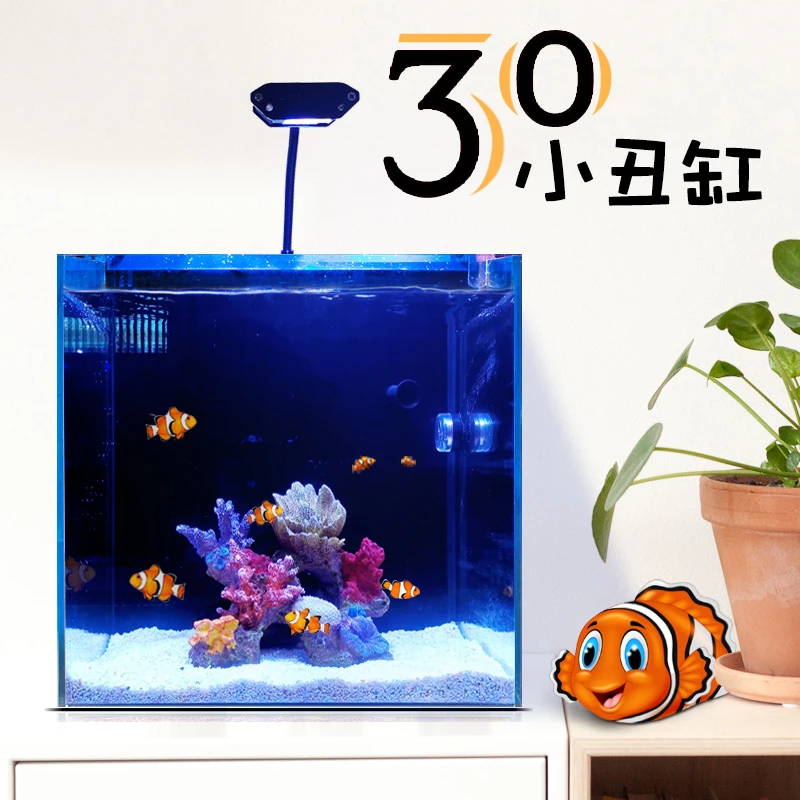 30小丑缸海缸套餐静风听海小方缸树脂造景缸背滤缸桌面新手微缸