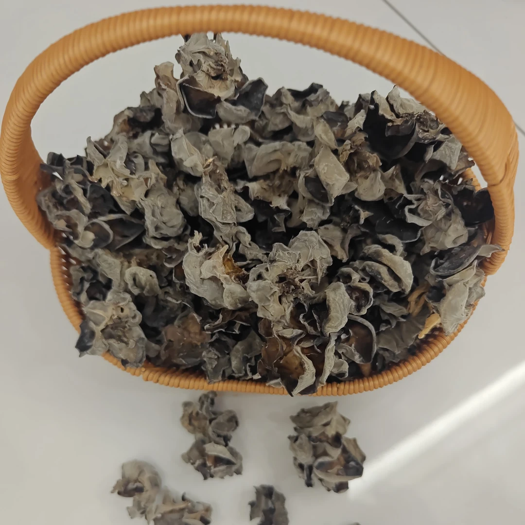 嘉荫大山里的椴木耳个大肉厚