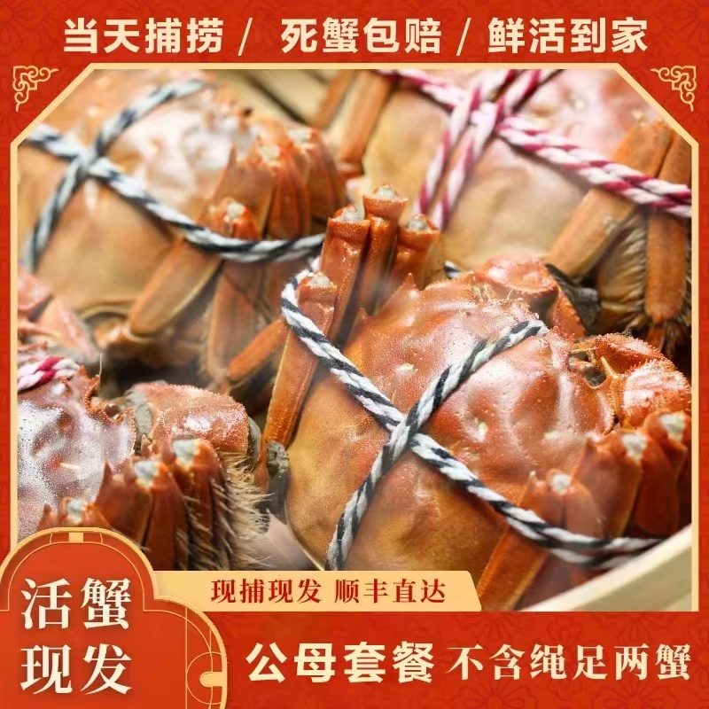 【蟹语阁】2.8-3.1两母蟹4只加4.1-3.8两公蟹4只拍8送2到手10只