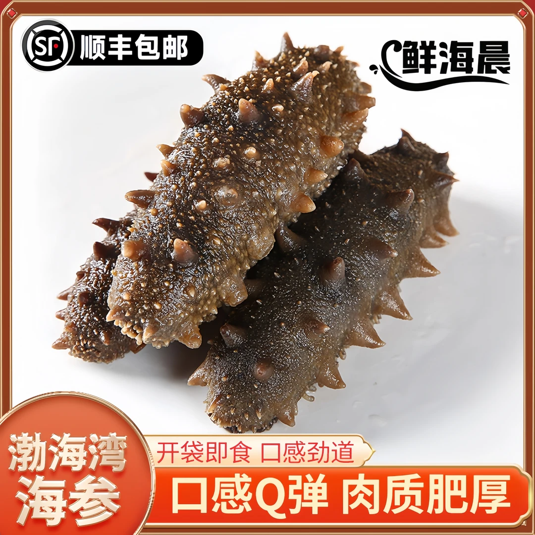 鲜海晨【北纬38度】天然零添加高品质渤海鲜食海参营养甄选即食