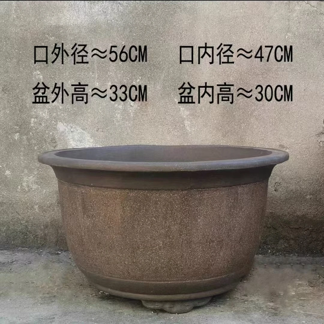 紫砂花盆有无孔菖蒲文竹拇指盆大小号防烂根菖蒲文竹拇指盆大小号