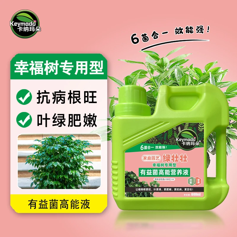 卡纳玛朵幸福树专用肥料营养液防掉叶黄叶黑斑土壤板结绿植有益菌