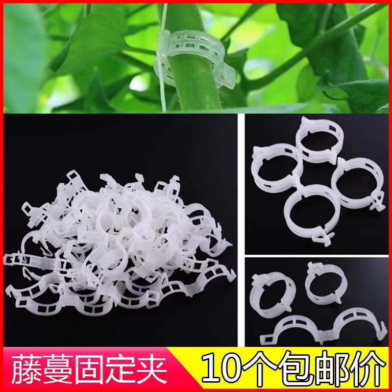扶蔓固定夹绑蔓夹固定卡扣绿植夹藤蔓植物辣椒茄子固定器秧苗定型