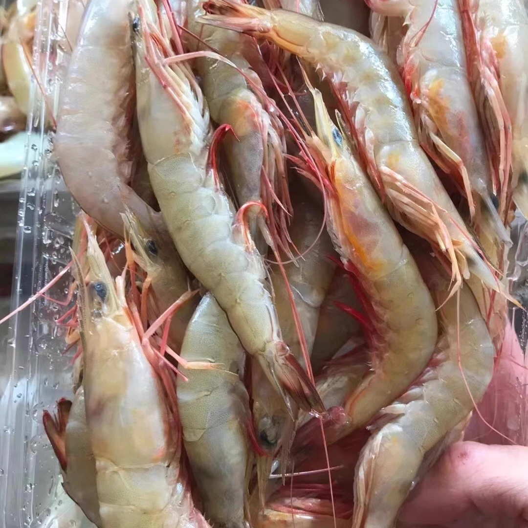 3斤小红虾 野生海虾 顺丰包邮 新鲜冷冻 3斤一袋