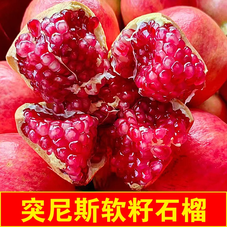 【向阳福鑫家庭装】突尼斯软籽石榴现采现发3-8斤