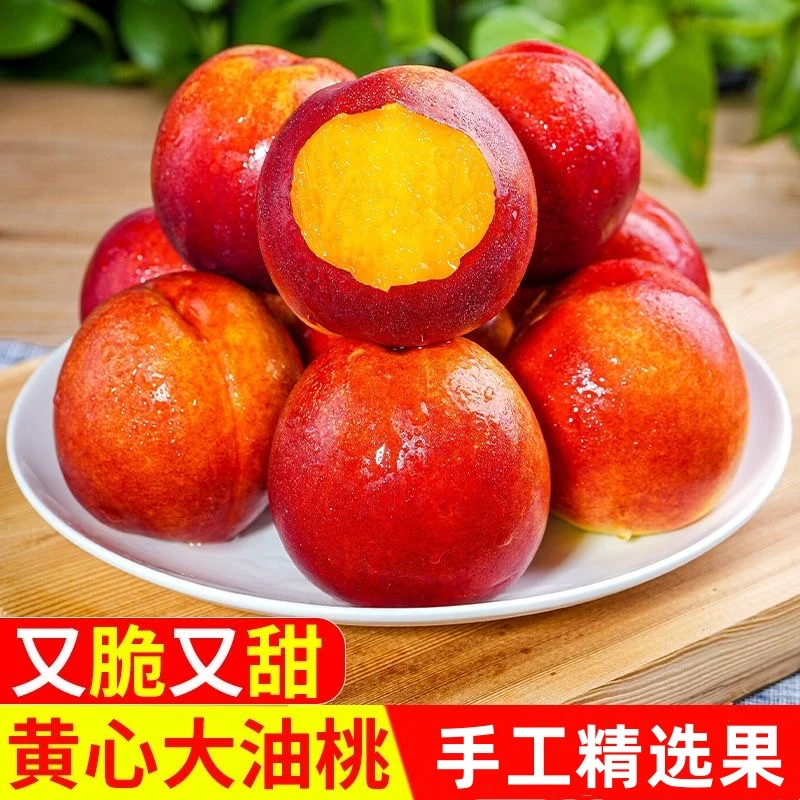 山西头茬黄心油桃黄肉油桃脆甜多汁应季新鲜水果净重4.5斤TY
