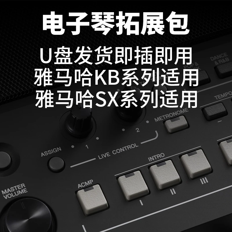 【非雅马哈品牌】定制电子琴音色/节奏扩展包SX600/700/900适用