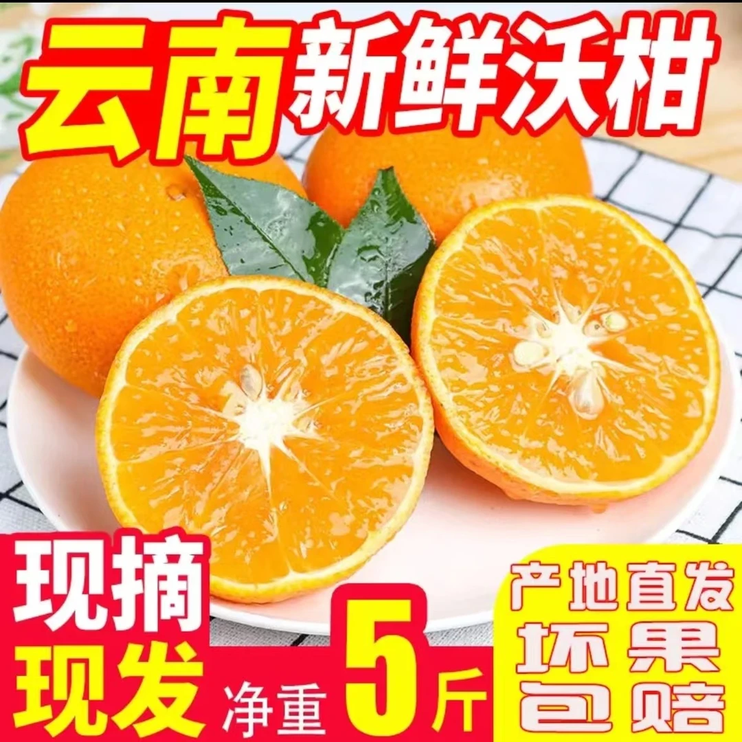 FXP云南高山新鲜沃柑品质5斤装酸甜多汁皮薄肉厚应季水果包邮发货
