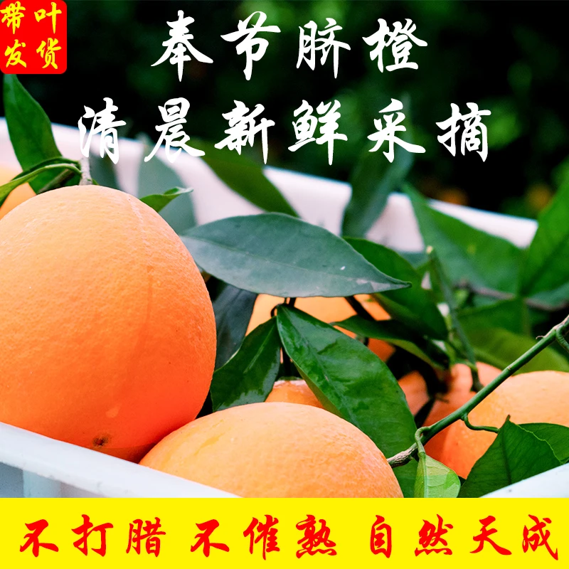 正宗奉节脐橙新鲜应季水果4.5-5斤装新鲜采摘原产地直发