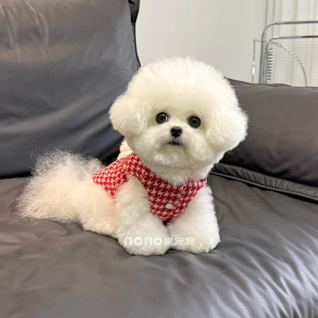 狗狗衣服秋冬新款千鸟格毛领马甲加绒加厚外套牵引扣宠物比熊泰迪