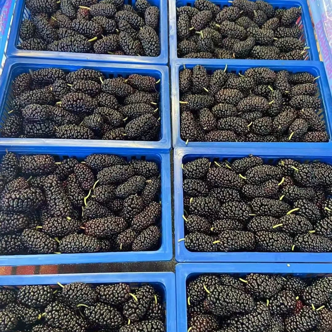 【同城外送】鲜果汇优选桑葚一盒