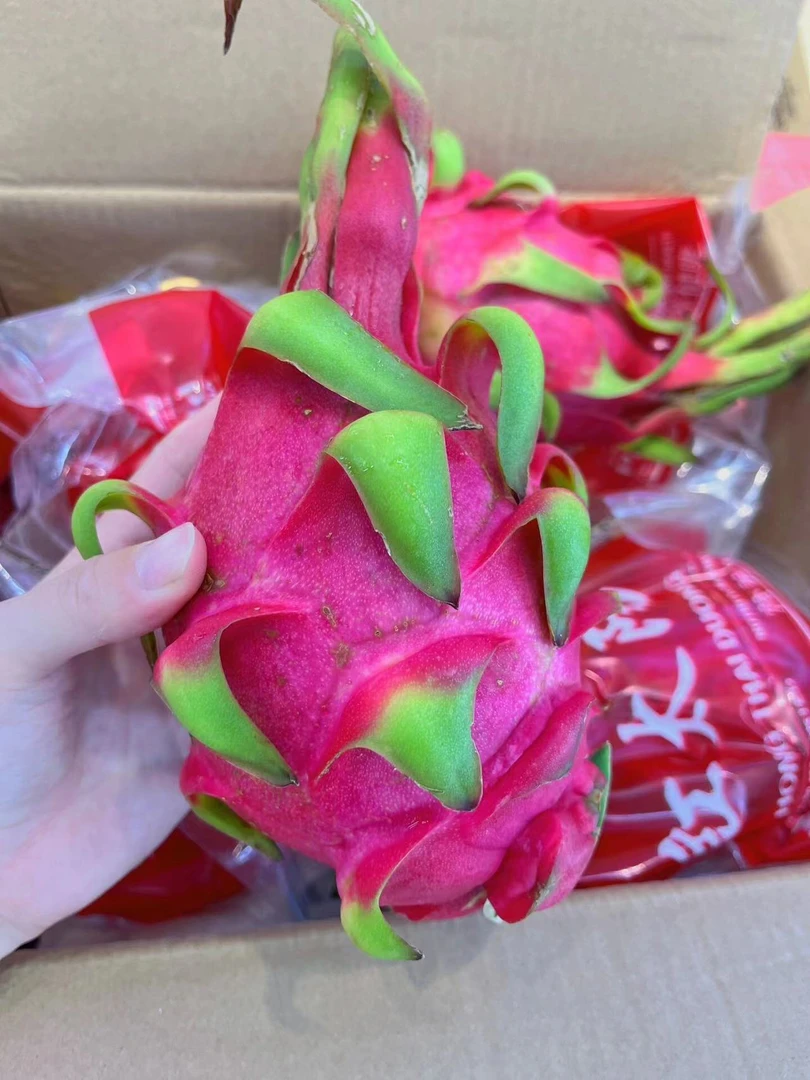 鲜果汇优选越南红心火龙果约5斤