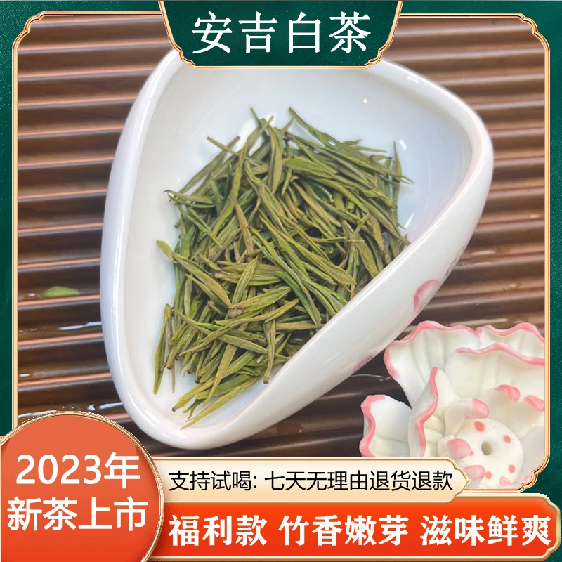 【1号竹香小芽福利款】2023年新茶竹香小芽 纯正安吉白茶原产地发货