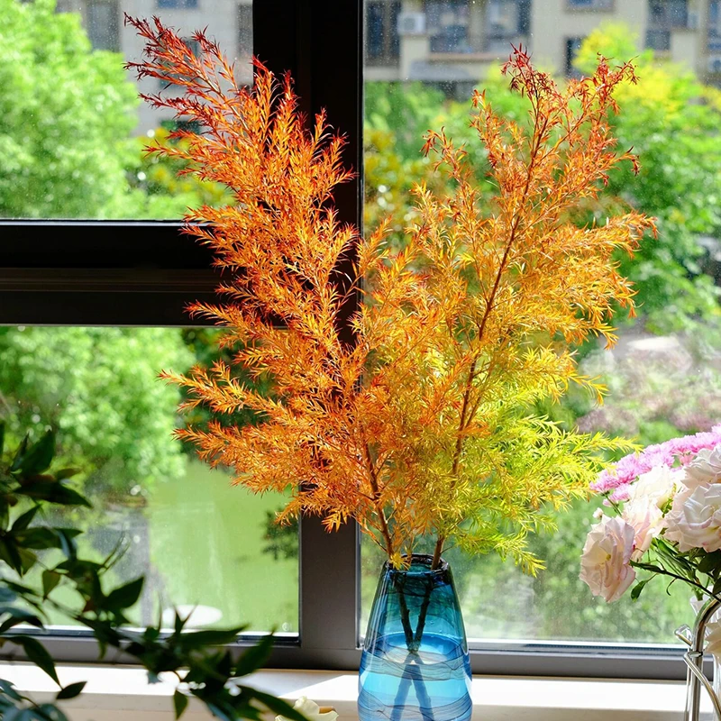 千层金1扎【2单顺丰包邮-昆明斗南基地直发】格调绿植