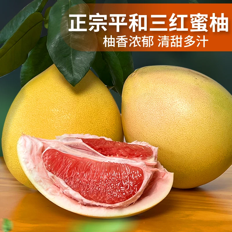 福建漳州平和琯溪三红蜜柚鲜果现摘柚子脆甜多汁