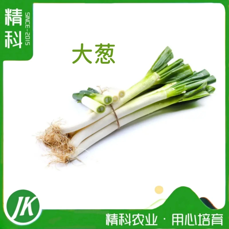 【精科农业】生态大葱 新葱5斤装 带根耐存放 不带叶发货 现拔现发