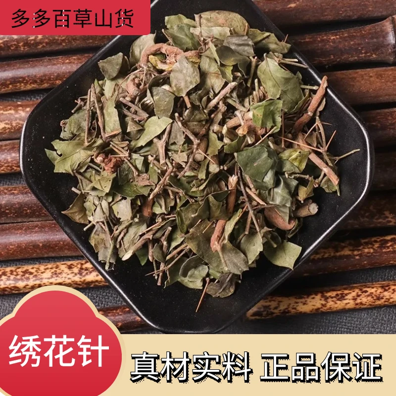 正宗野生【绣花针】新货虎刺根老鼠干品白凤珠草鸟不宿叶菜250g散装