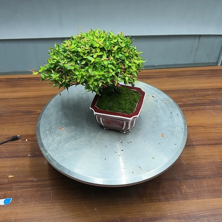 红陶20CM（含）-50CM（不含）不*547