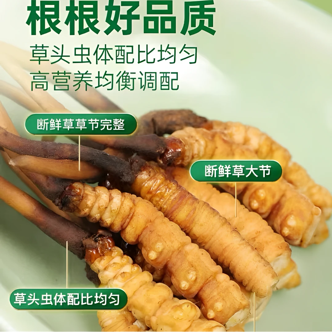 纪汉堂【新鲜虫草断草】山南加查县虫草2024优质鲜草头期断草