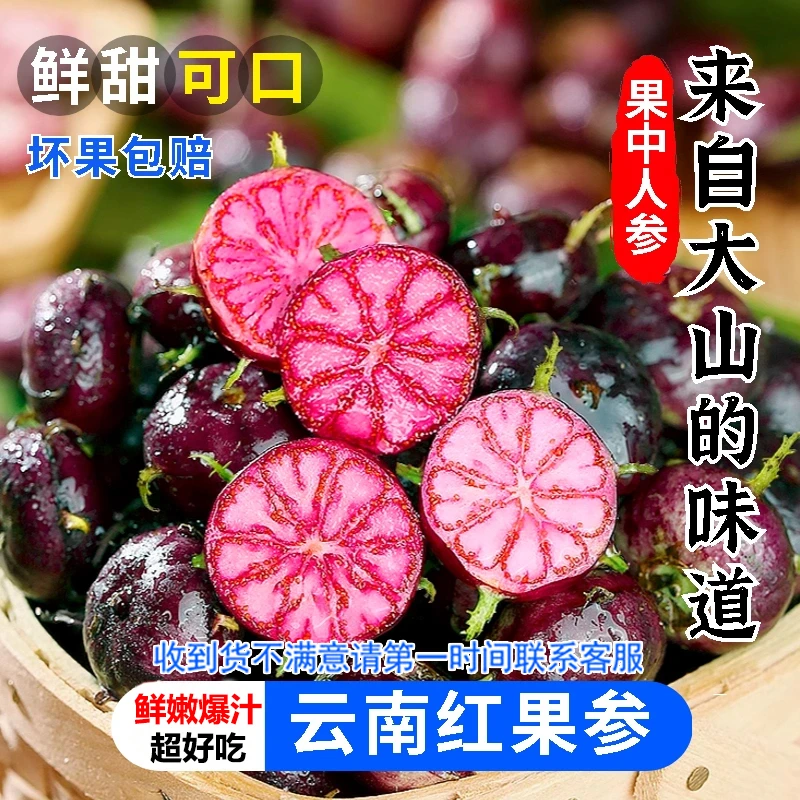 【稀有鲜果】正宗云南红果参新鲜现摘大果当季水果蜘蛛果脆甜多汁