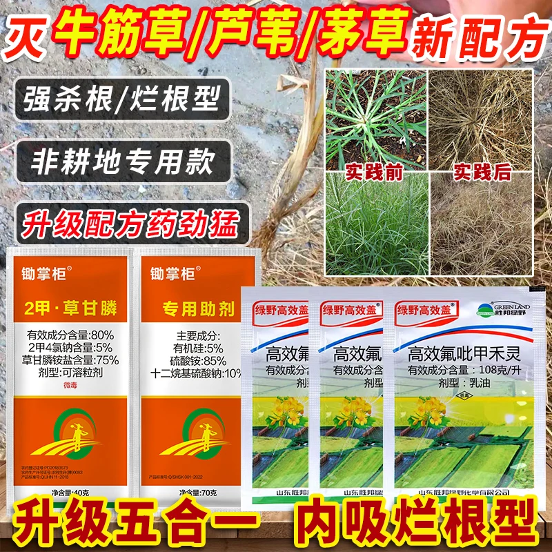 除芦苇茅草烂根型除草剂巴根草牛筋草烂根专杀套餐空地专用药组合