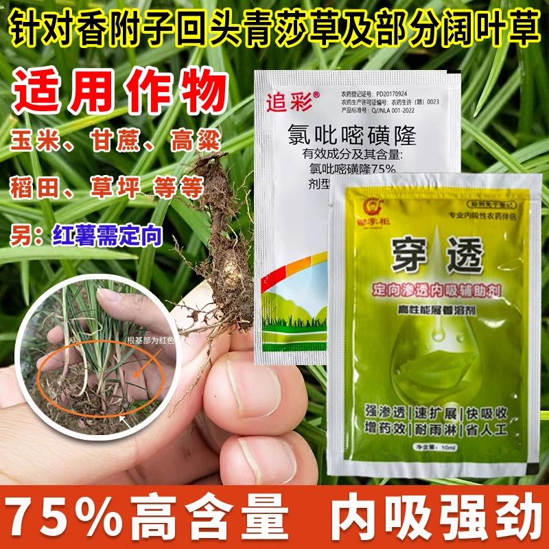 专业香附子除草套装烂根烂核型雷公头回头青三棱草田埂空地慢效药