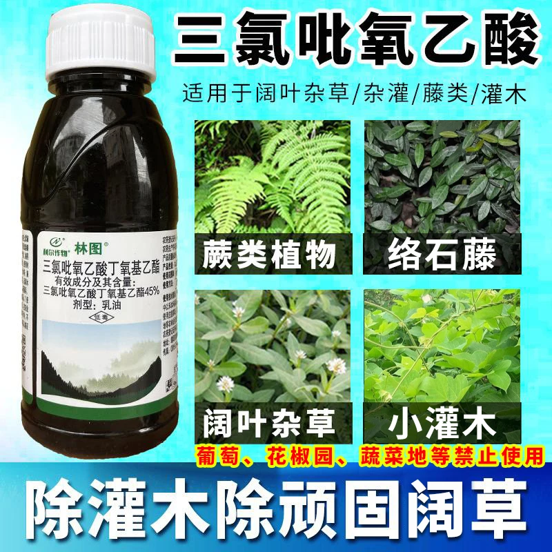 除灌木藤蔓三氯吡氧乙酸络石藤鸡屎藤母猪藤杂灌内吸烂根型除草剂