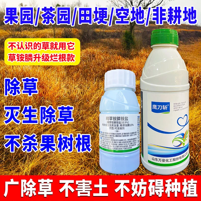 春耕季抗性小飞蓬蒿草果园茶园田埂专除恶草烂根型长效加强除草剂