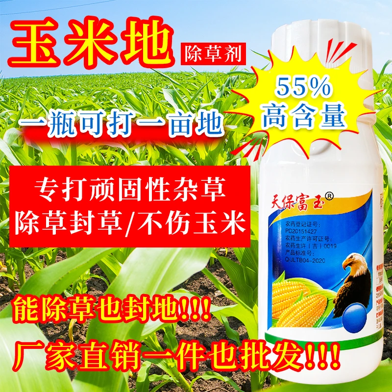 高含量55%玉米地除草专用剂除草封草不伤玉米苗硝磺草酮·莠去津
