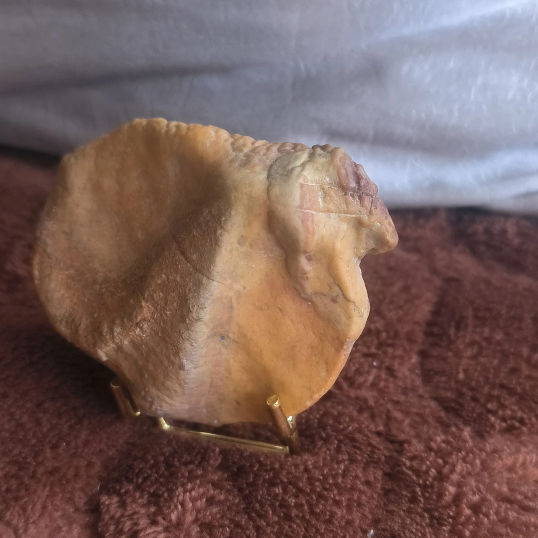 桌面饰品，皱纹泥羊么么