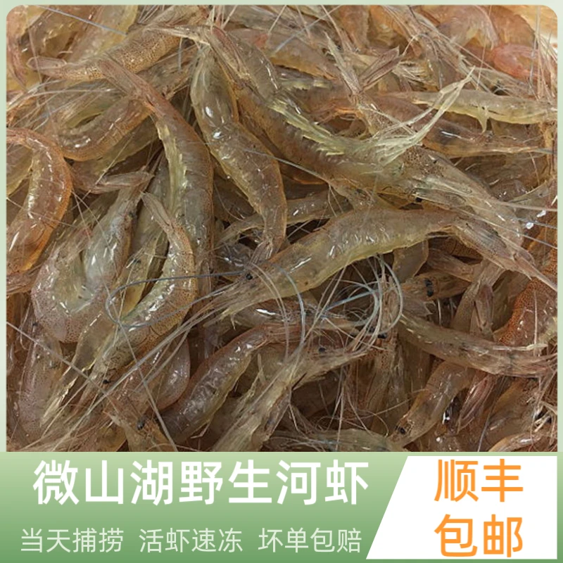 小渔姐妹微山湖野生河虾新鲜速冻活虾冷冻淡水虾鲜青虾草虾顺丰