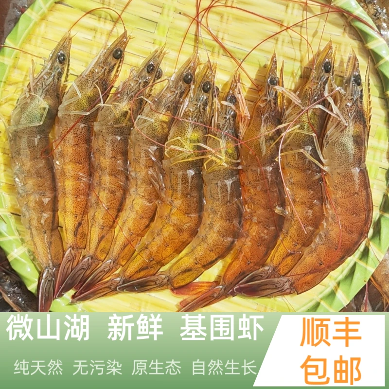 小渔姐妹微山湖新鲜淡水大对虾鲜活速冻大基围虾超大青虾对虾河虾