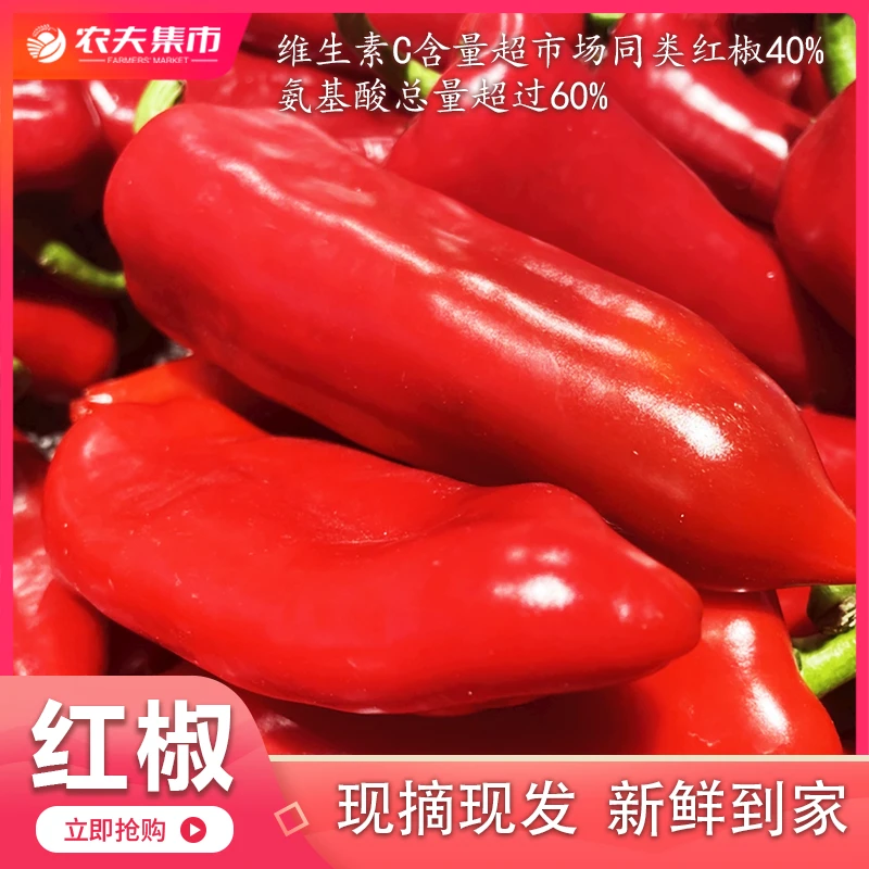【汨罗红椒】湖南正宗新鲜辣椒红椒批发产地红辣椒现摘现卖包邮到家