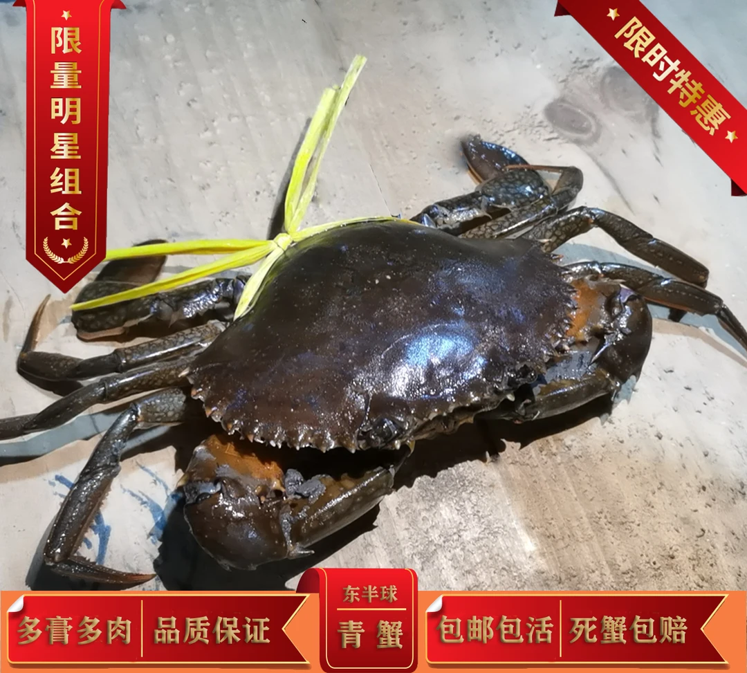 【鲜活包邮满膏满黄】青蟹膏蟹肉蟹母蟹公蟹（4两-1斤/只）无绳净重