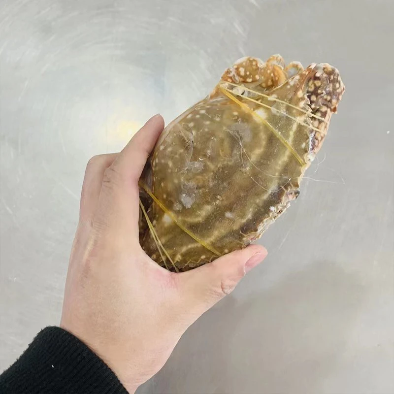 【冻蟹】宁波石浦梭子蟹母蟹呛蟹原料3斤9-11只3-4两/只（不可清蒸）