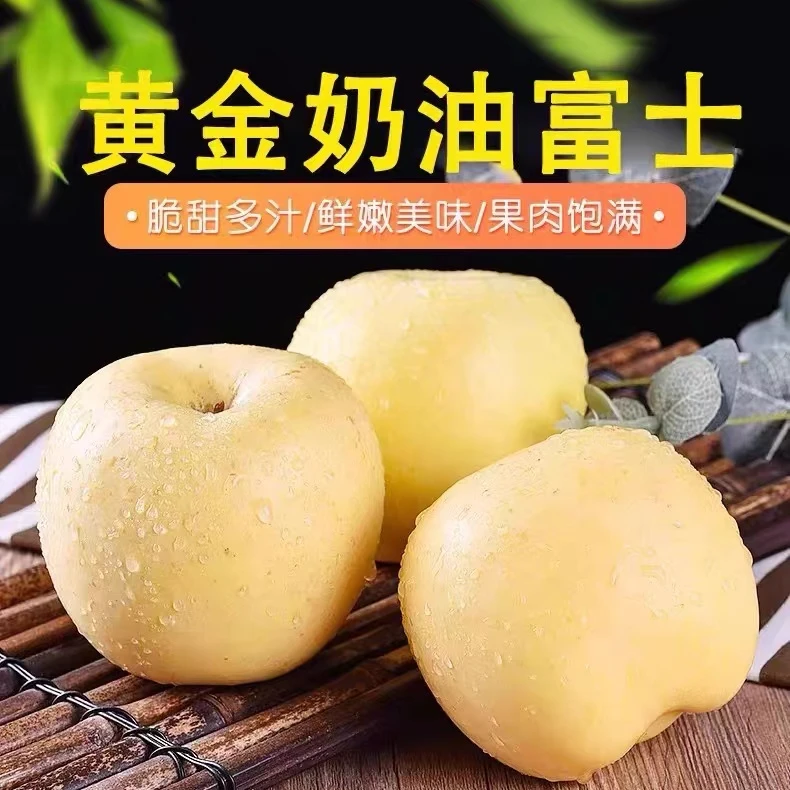 【京东包邮】烟台黄金奶油富士苹果  2024新鲜头茬  脆甜多汁A