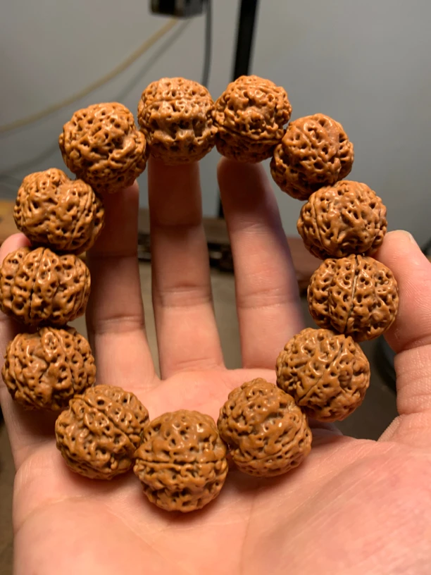 F124尼泊尔大金刚原生态镂空蜂窝大金刚菩提