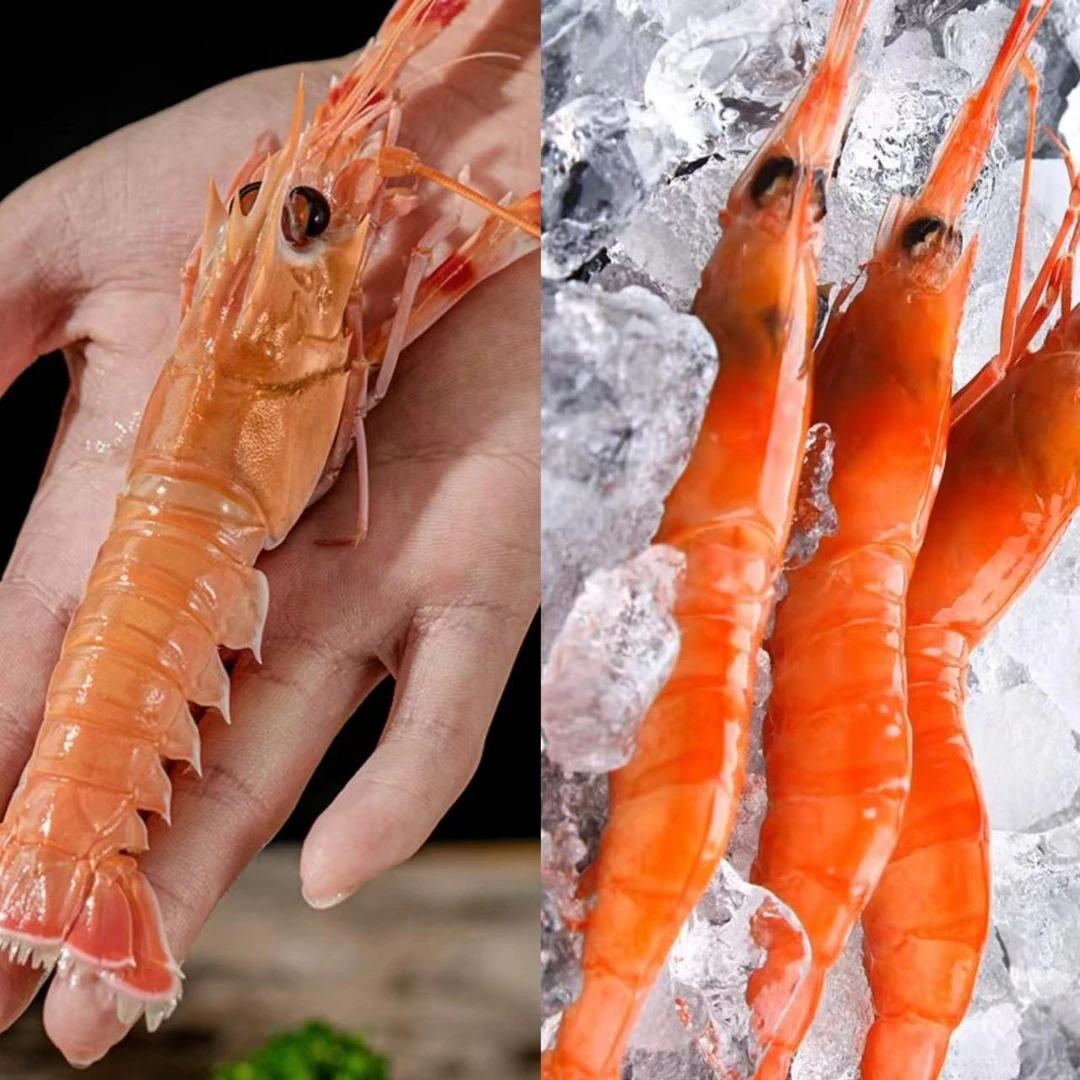 【刺身虾集合浮力】国产甜虾海鳌虾舟山海鲜