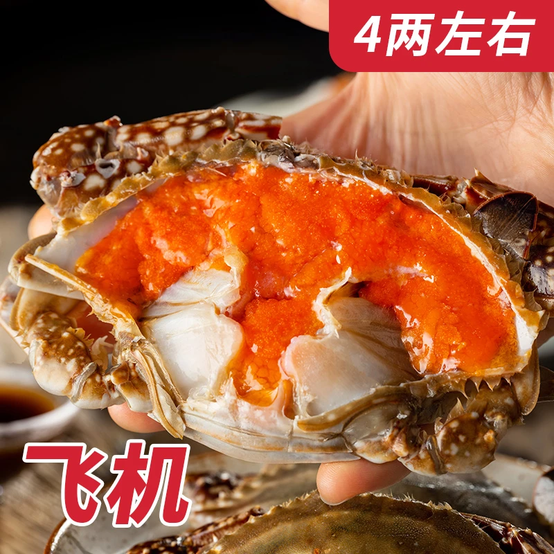 【飞机】遇上鲜舟山精品红膏飞机呛蟹 腌制母蟹 4两左右/只海味严选