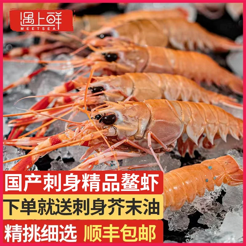 【遇上鲜】舟山刺身M号海鳌虾新鲜鳌虾刺身甜虾海鲜东海熬虾100g