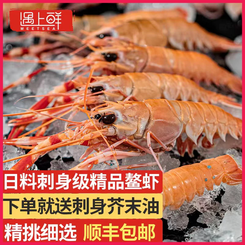 【大鳌虾福利】舟山XL大号海鳌虾新鲜嫩海鳌虾食用刺身虾优质
