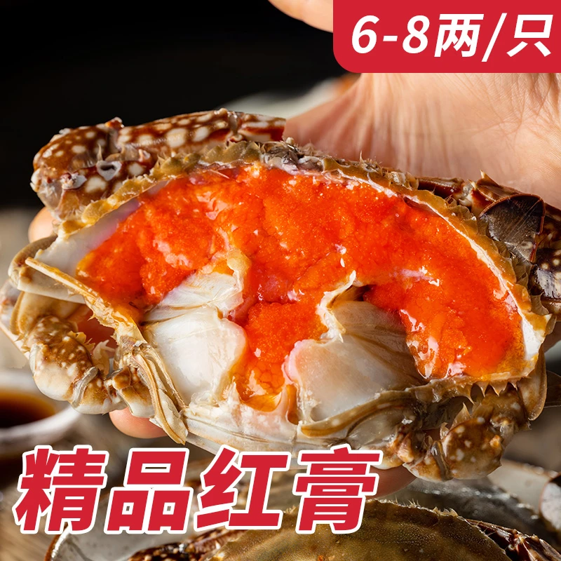 【巨无霸】遇上鲜舟山精品红膏呛蟹 腌制 6-8两/只 顺丰包邮