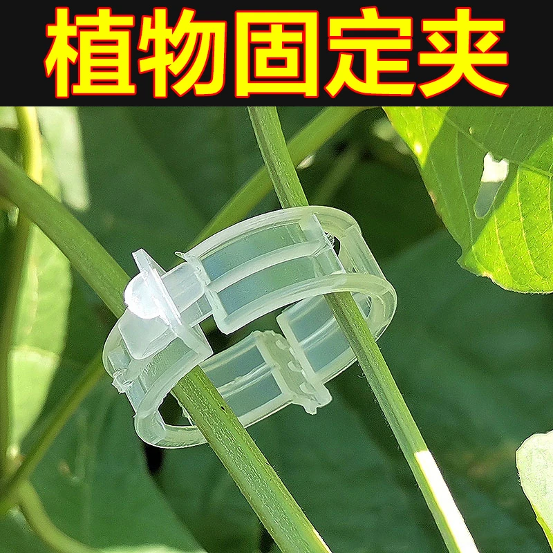 绿植果树植物固定夹卡扣藤蔓固定器秧苗爬藤支撑杆果蔬秧苗吊秧夹