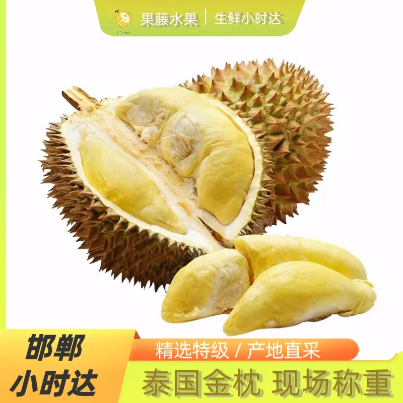 【一果一拍现场称重】金枕榴莲 鲜果