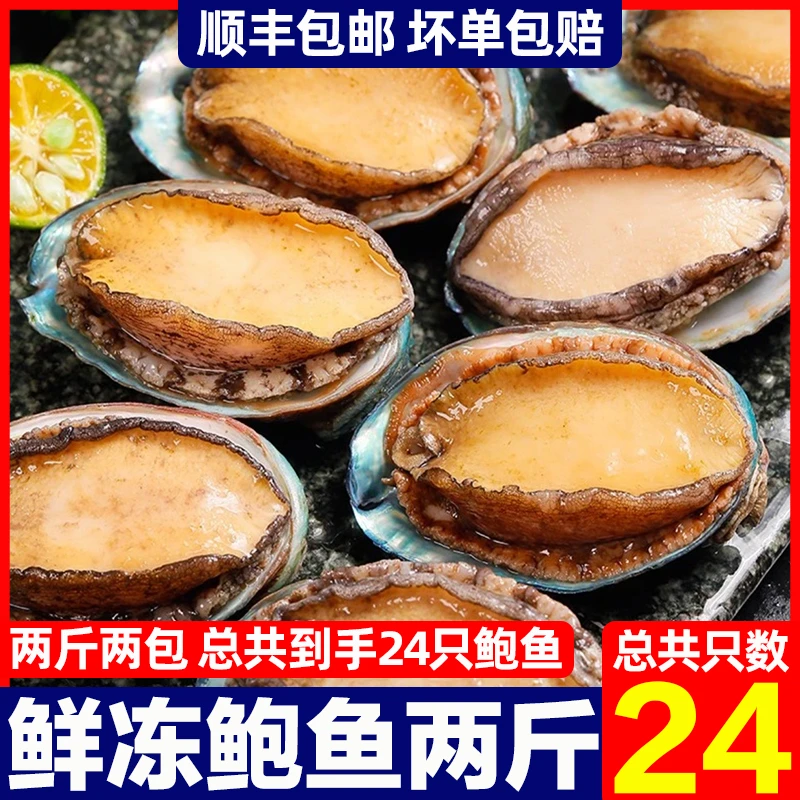 24只鲍鱼新鲜冷冻超大生鲜海鲜水产特大加热即食小鲍鱼捞汁捞饭