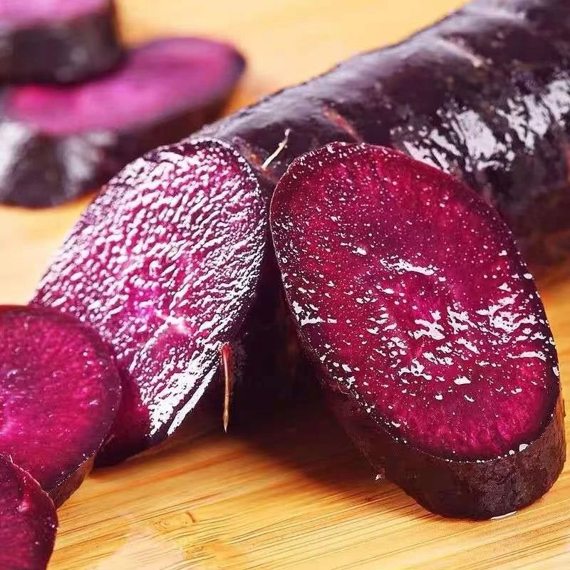 甘肃沙地紫美人萝卜紫萝卜水果包邮水果销新鲜胡萝卜