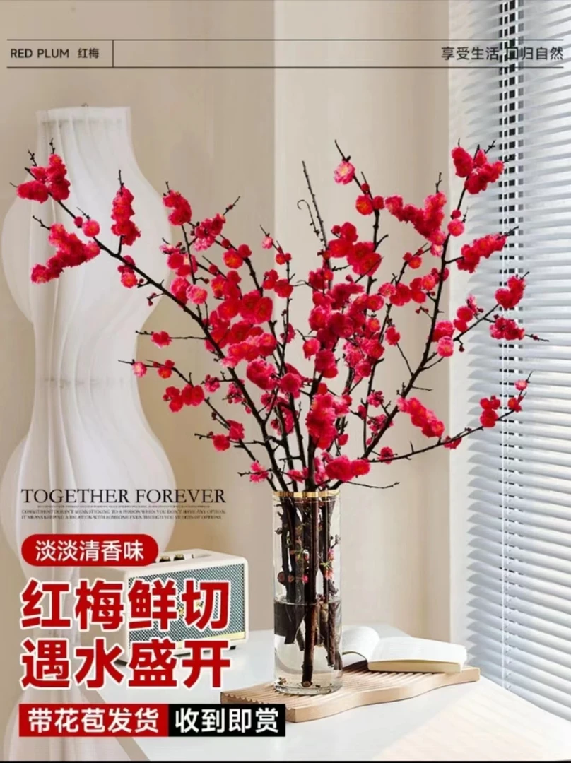 【年宵花卉】水培鲜枝红梅桃花耐寒好养易活插水养鲜花清香水培花卉
